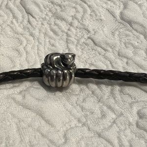 Retired Pandora Cozy Cat Charm